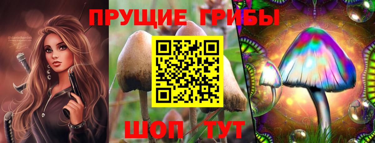 Галлюциногенные грибы GOLDEN TEACHER  Вход с VPN  Алексеевка  Галлюциногенные грибы ЛСД 